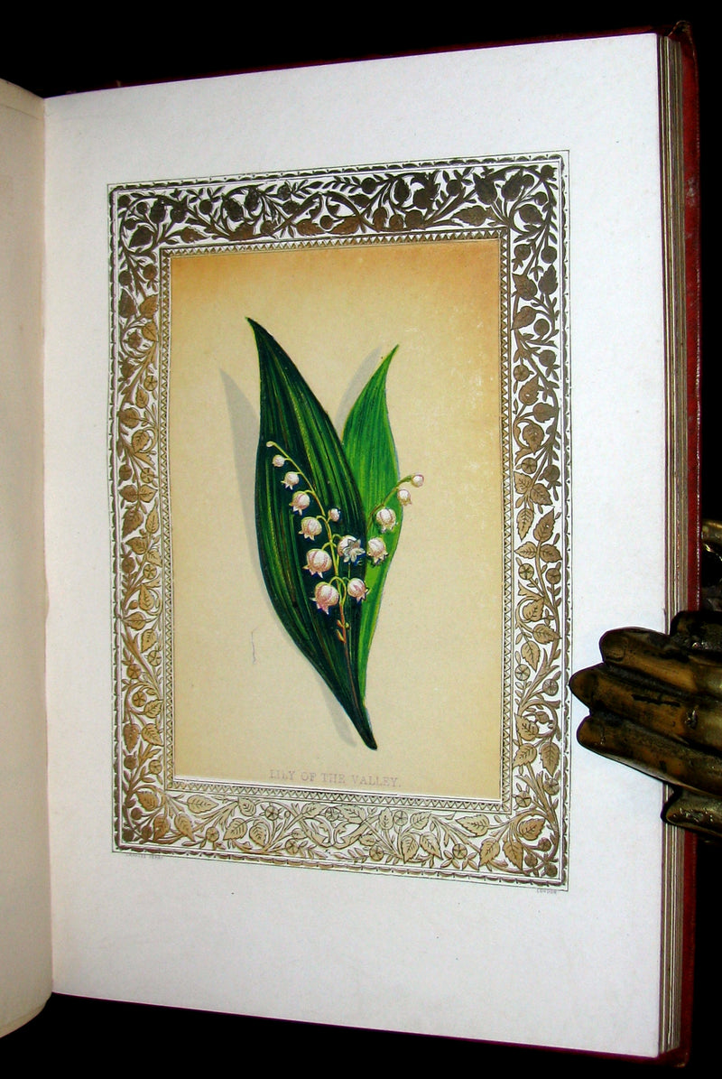 1870 Scarce Floriography Book ~ FLORA SYMBOLICA or The Language and Sentiment of Flowers by John Ingram.