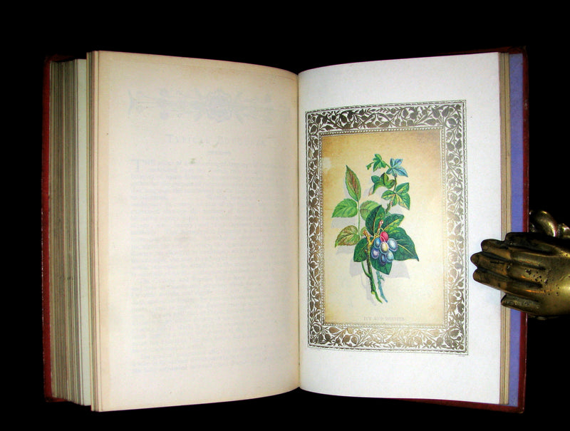 1870 Scarce Floriography Book ~ FLORA SYMBOLICA or The Language and Sentiment of Flowers by John Ingram.