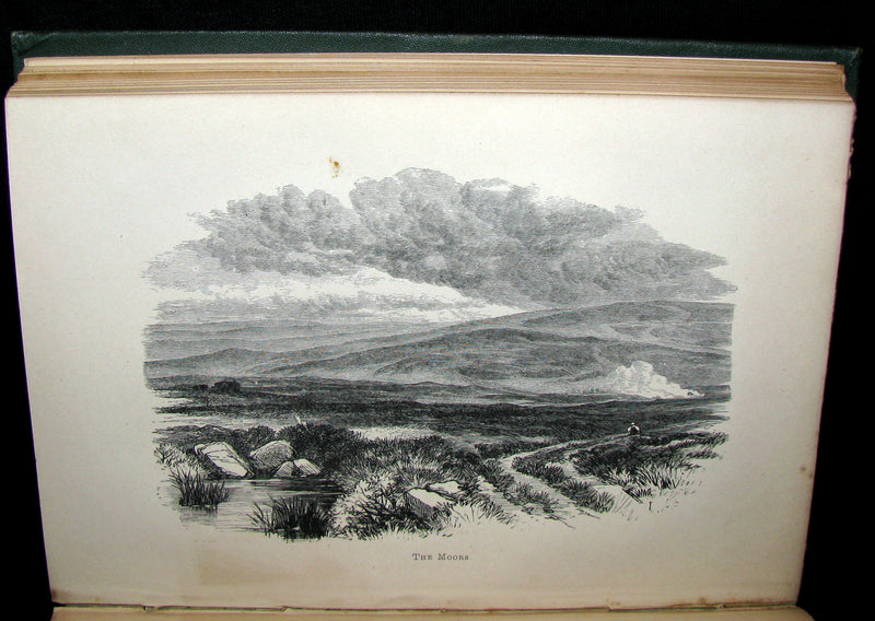1885 Rare Book - WUTHERING HEIGHTS by Emily Brontë and Agnes Grey by Anne Brontë. Illustrated.