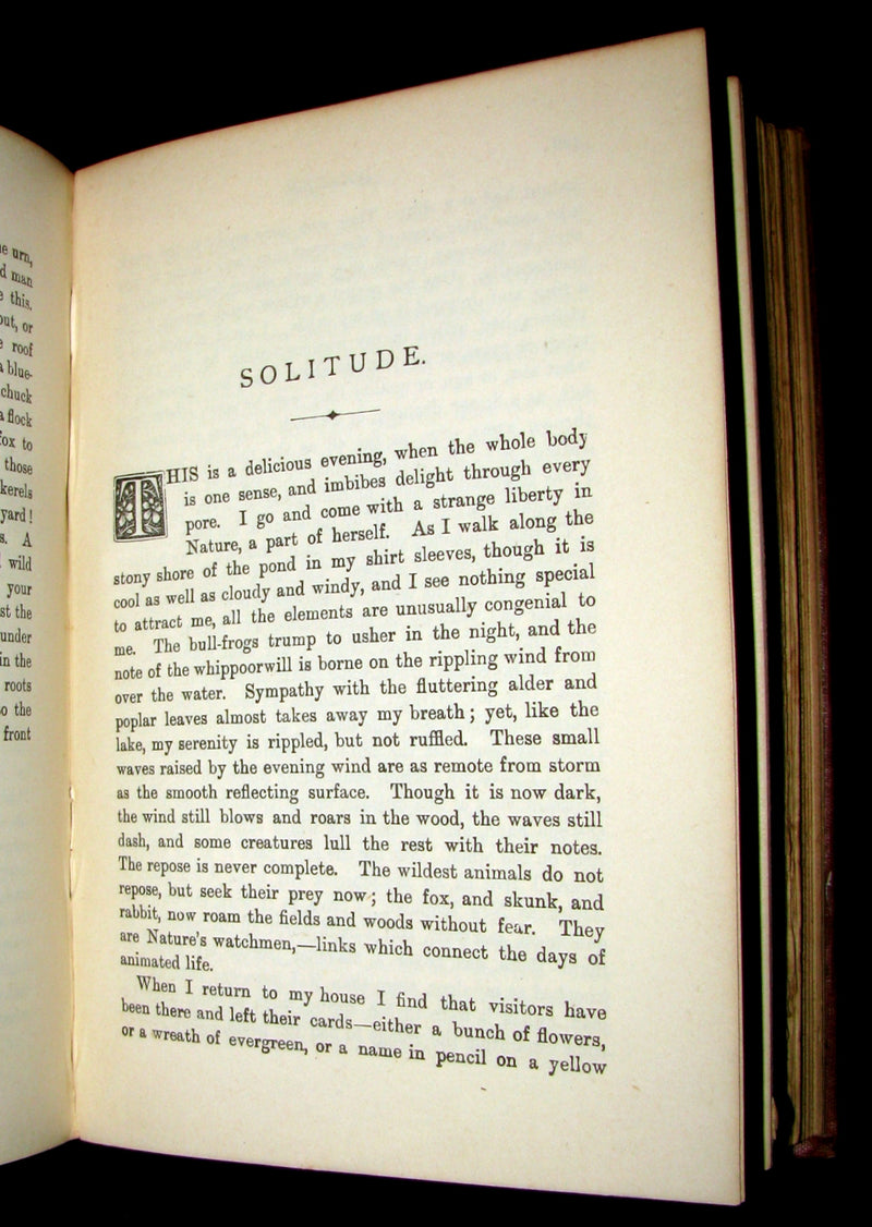 1905 Rare Book - WALDEN by Henry David Thoreau. With an introductory note by Will H. Dircks.