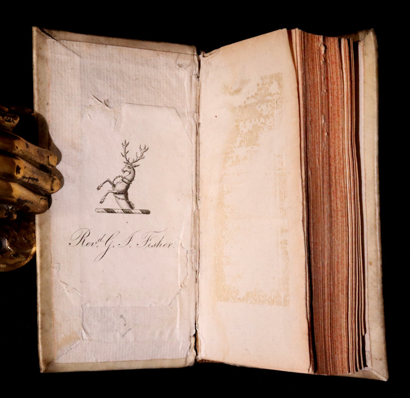 1670 Rare Latin Vellum Book - Histories of ALEXANDER the GREAT by Quintus Curtius Rufus.