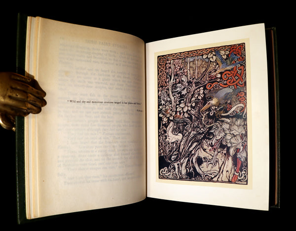 1920 1st Edition in Morocco Binding - IRISH FAIRY TALES by J. Stephens illustrated by Arthur Rackham.