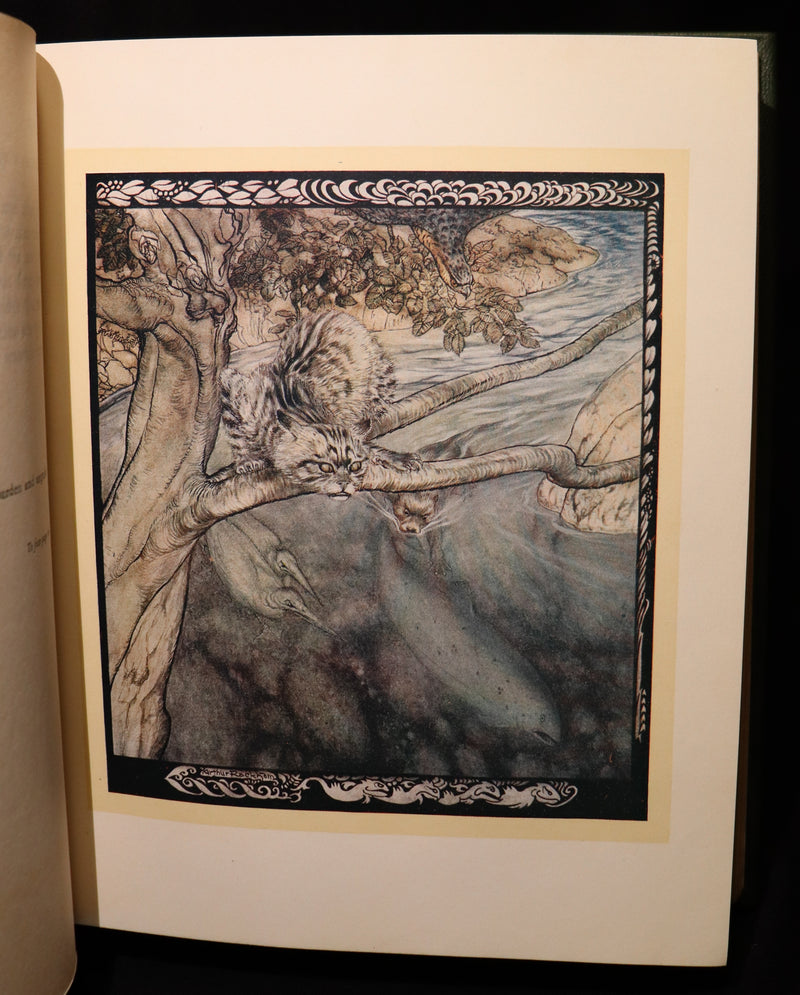 1920 1st Edition in Morocco Binding - IRISH FAIRY TALES by J. Stephens illustrated by Arthur Rackham.