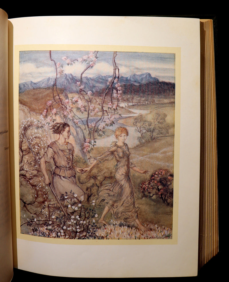 1920 1st Edition in Morocco Binding - IRISH FAIRY TALES by J. Stephens illustrated by Arthur Rackham.