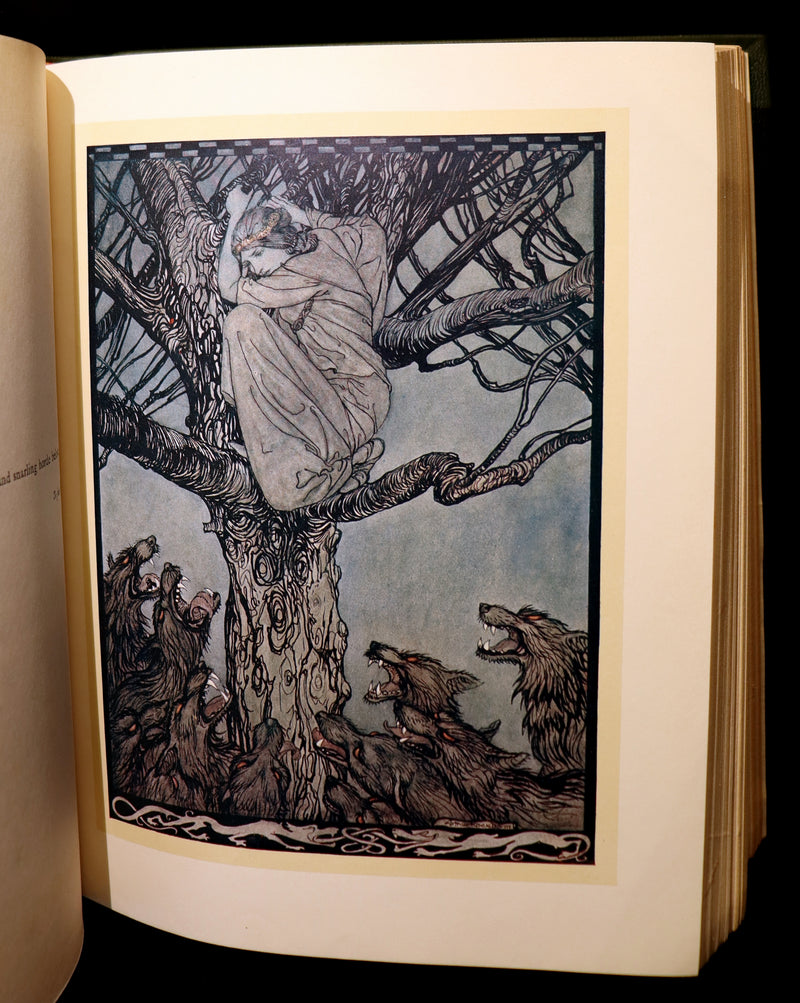 1920 1st Edition in Morocco Binding - IRISH FAIRY TALES by J. Stephens illustrated by Arthur Rackham.