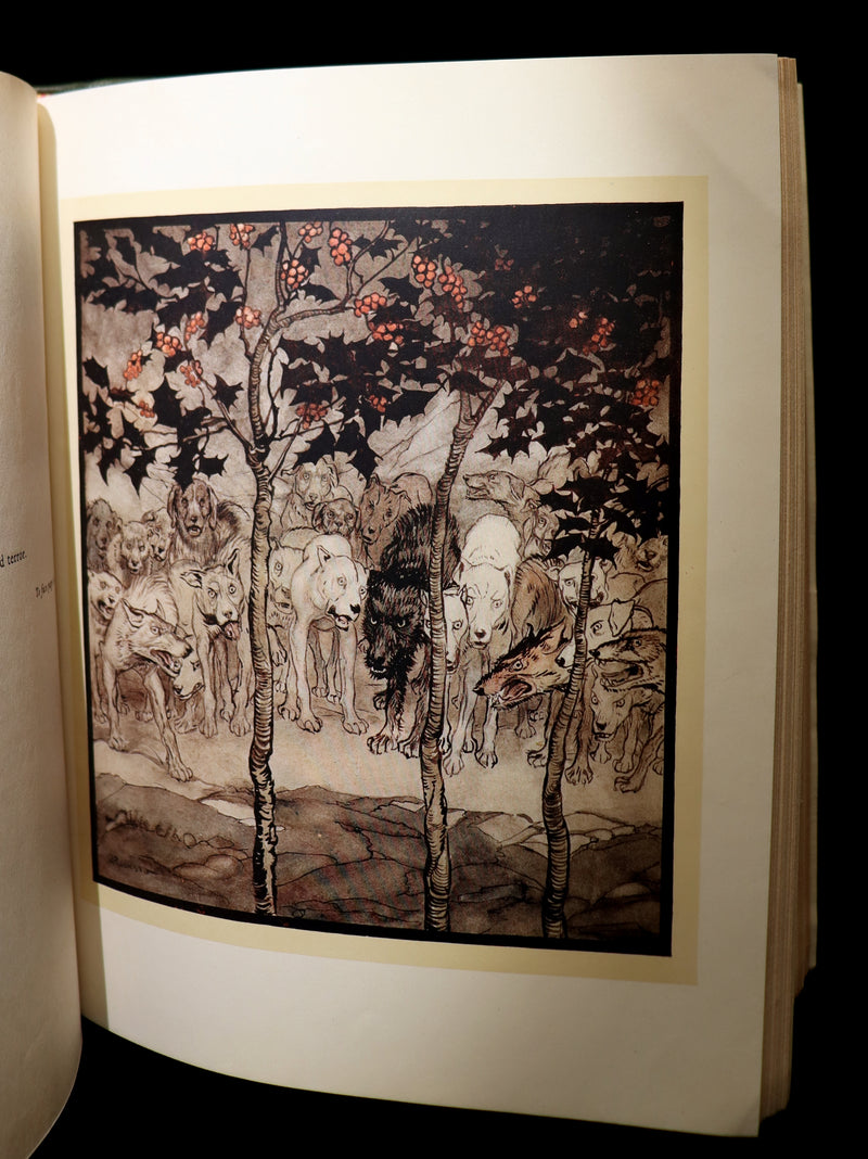 1920 1st Edition in Morocco Binding - IRISH FAIRY TALES by J. Stephens illustrated by Arthur Rackham.