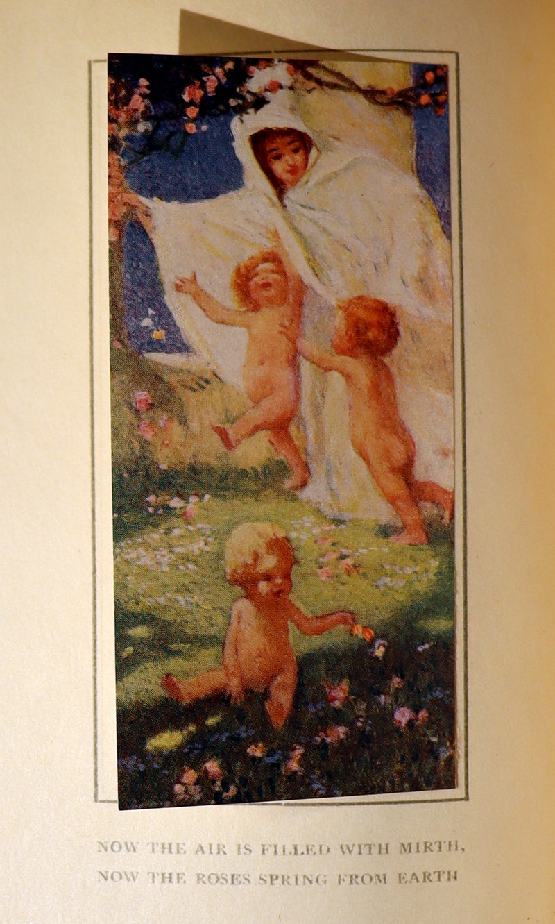 1913 Rare Book - THE ROSE GARDEN OF PERSIA by Louisa Stuart Costello. Persian Poets.