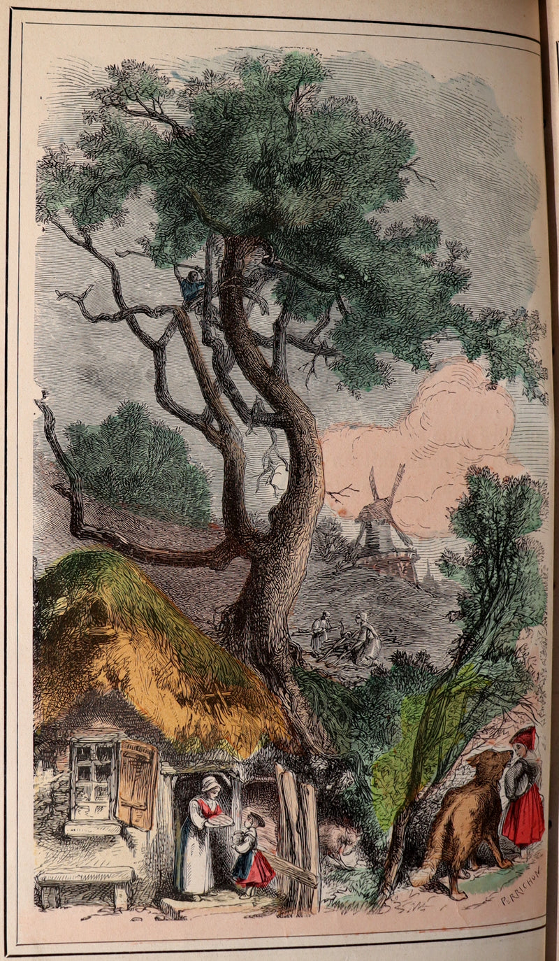 1890 Scarce color illustrated French Book ~ Contes de Fees - FAIRY TALES by Perrault.