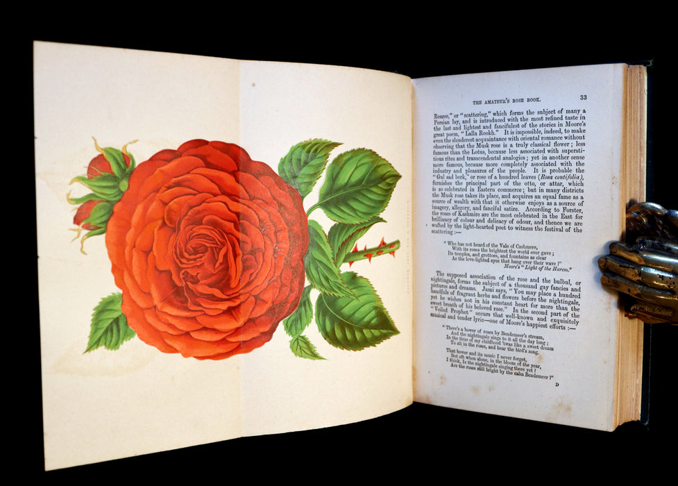 1878 Rare Victorian Gardening Book - The Amateur's Rose Book by the famous botanist James Shirley Hibberd.