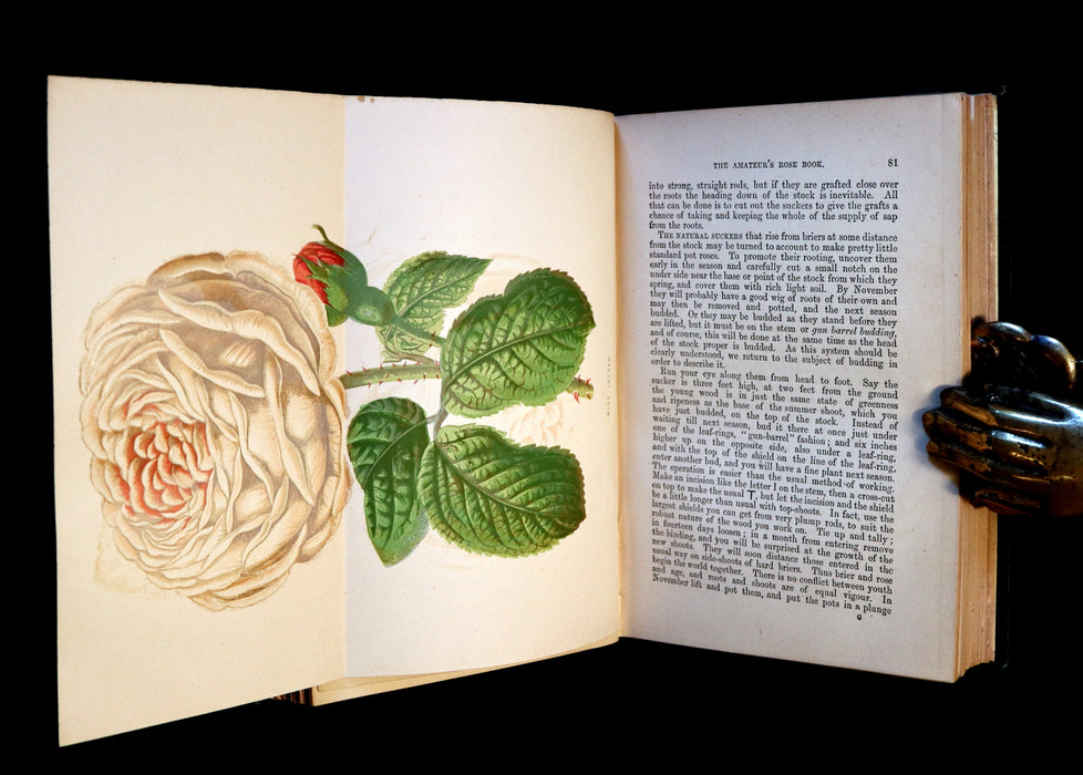 1878 Rare Victorian Gardening Book - The Amateur's Rose Book by the famous botanist James Shirley Hibberd.