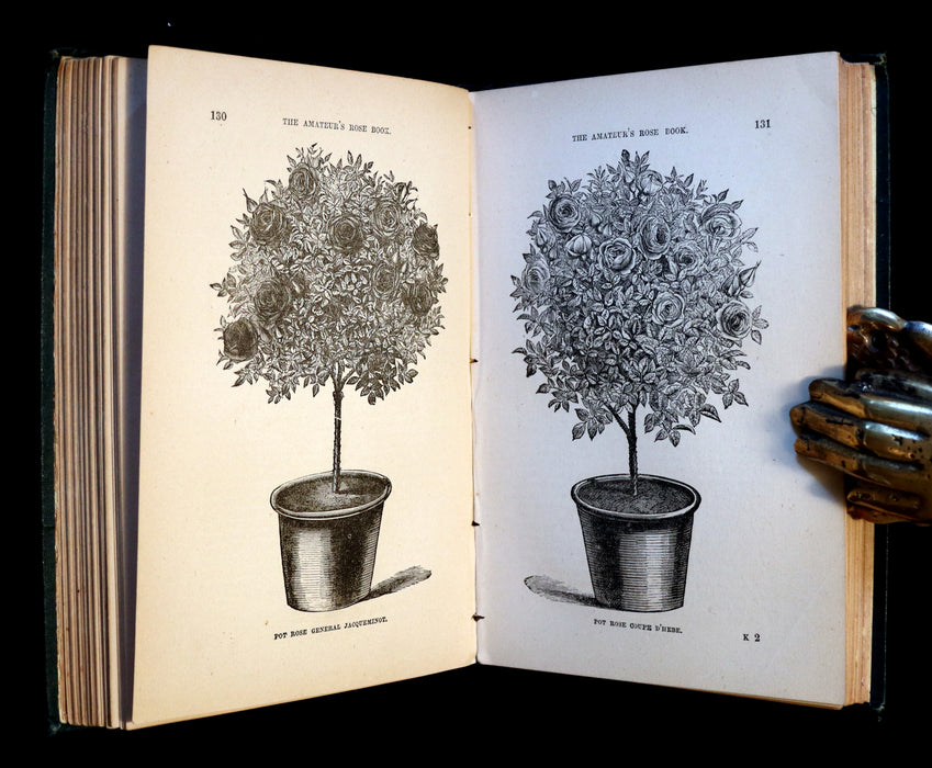 1878 Rare Victorian Gardening Book - The Amateur's Rose Book by the famous botanist James Shirley Hibberd.