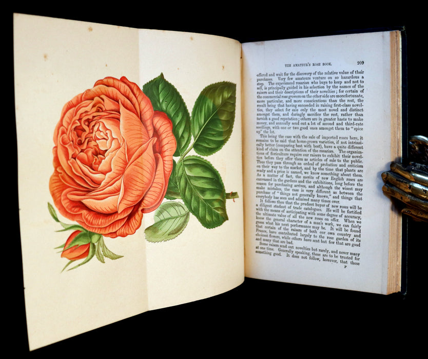 1878 Rare Victorian Gardening Book - The Amateur's Rose Book by the famous botanist James Shirley Hibberd.