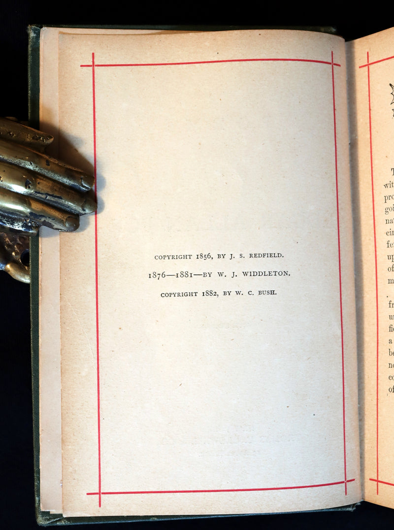 1882 Rare Victorian Book - Poems by Edgar Allan POE with Memoir (The Raven, Lenore, Ulalume, ...)