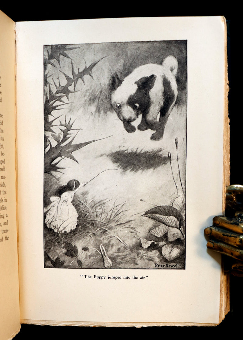 1901 Rare Edition - Alice's Adventures in Wonderland by Lewis Carroll illustrated by Peter Newell.