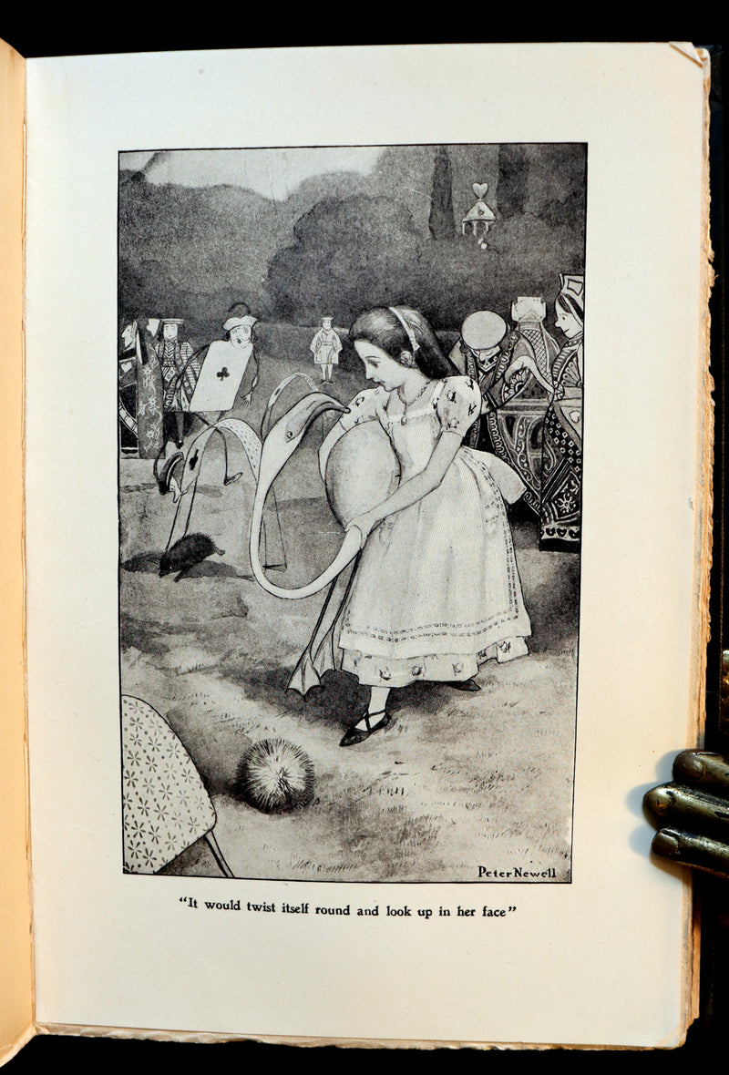 1901 Rare Edition - Alice's Adventures in Wonderland by Lewis Carroll illustrated by Peter Newell.