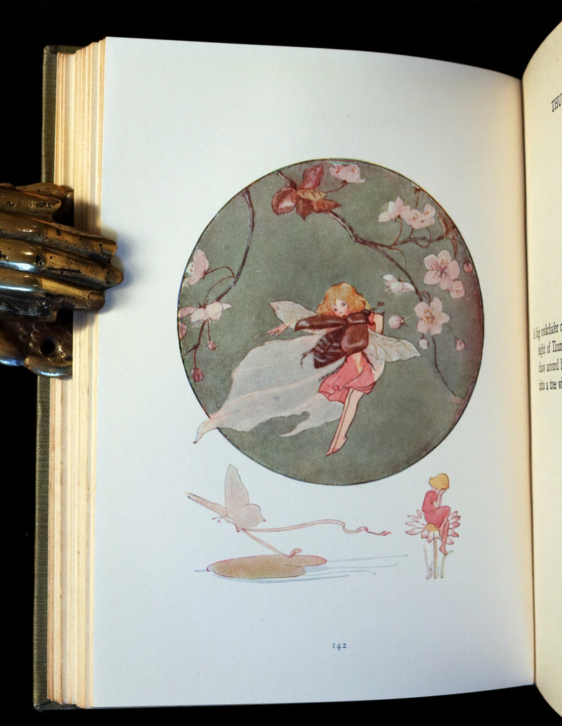 1925 Rare Book - Hans Andersen's FAIRY Stories with 48 Coloured Plates By Margaret W. Tarrant.