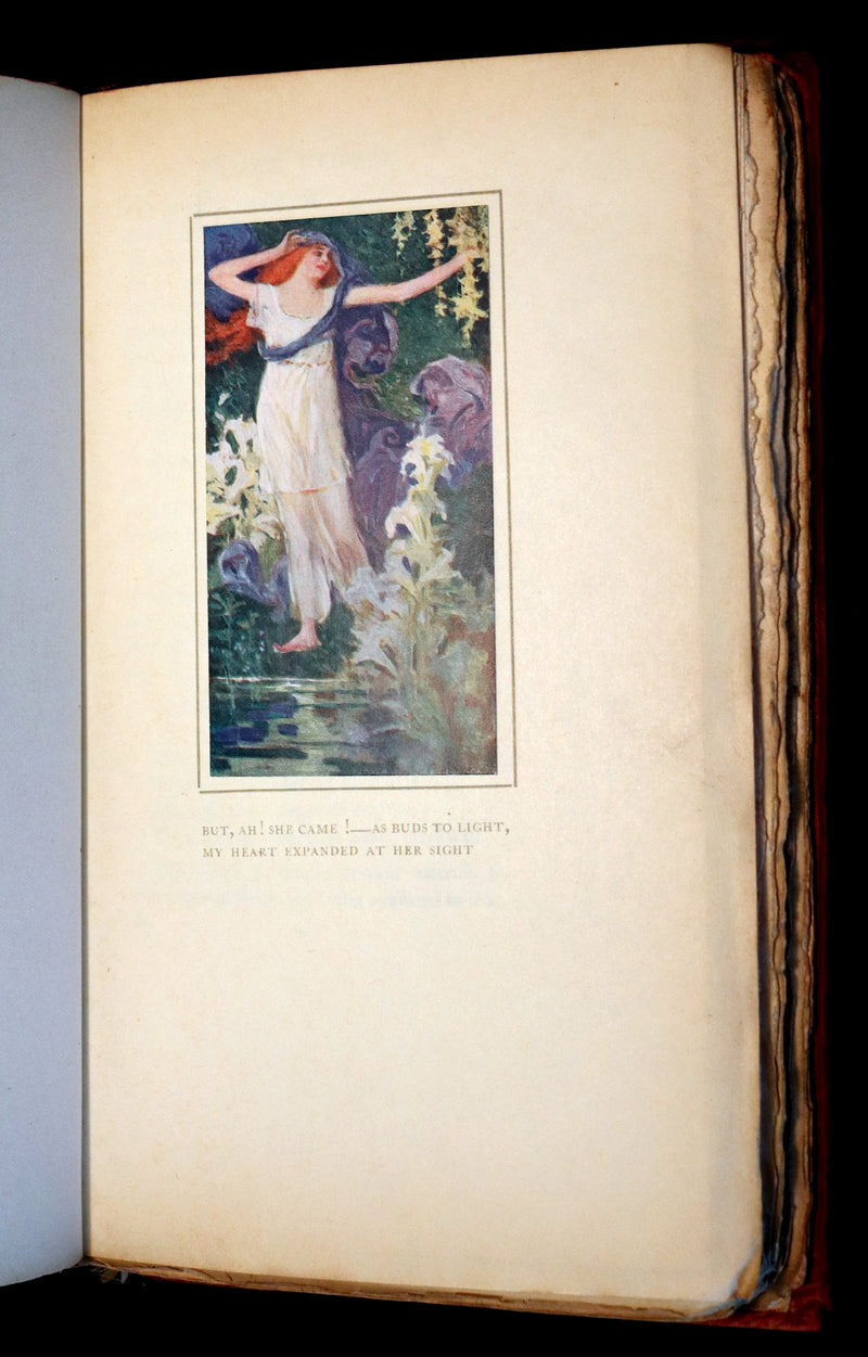 1913 Rare Book - THE ROSE GARDEN OF PERSIA by Louisa Stuart Costello. Persian Poetry.
