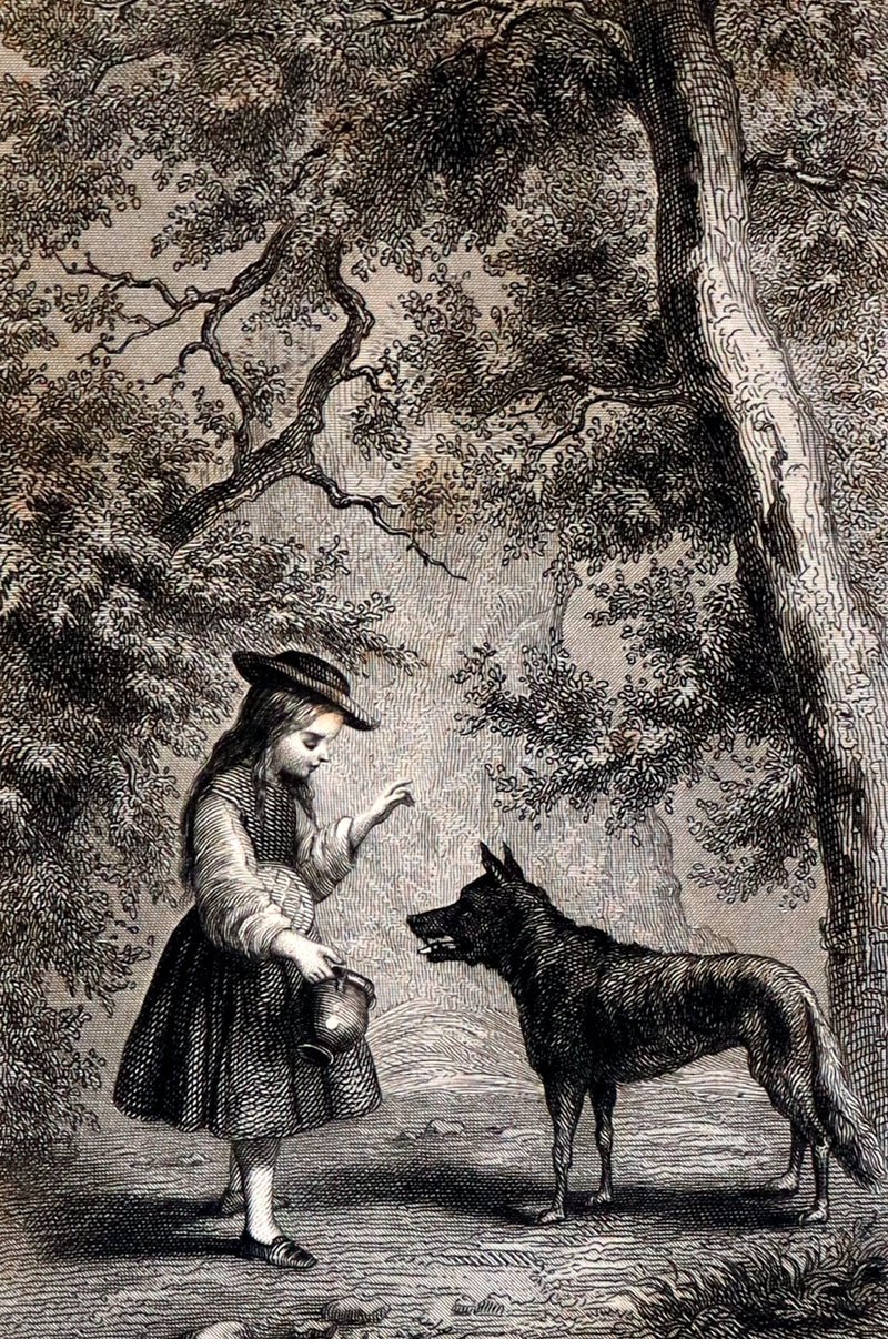 1890 Scarce illustrated French Book ~ Les Contes de Perrault - Fairy Tales published by Lefevre.