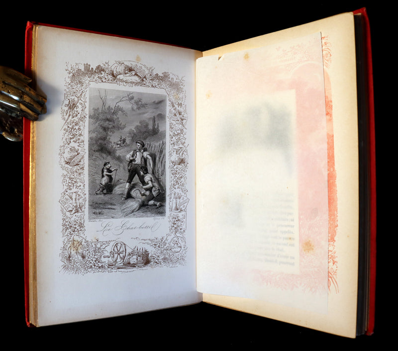 1890 Scarce illustrated French Book ~ Les Contes de Perrault - Fairy Tales published by Lefevre.