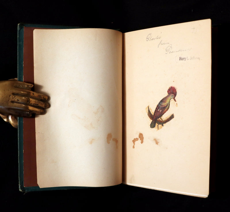 1880 Scarce Victorian Book - Standard FAIRY TALES illustrated by Gustave Dore & George Cruikshank.