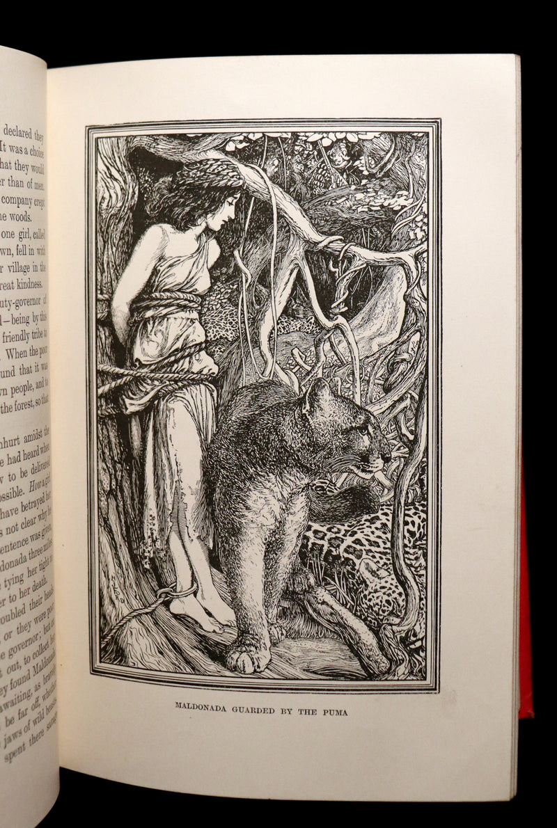 1899 Rare 1stED - The RED BOOK of ANIMAL STORIES by Andrew Lang Illustrated by H.J. Ford.
