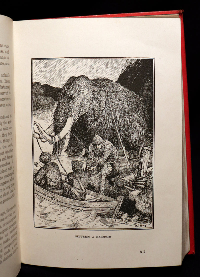 1899 Rare 1stED - The RED BOOK of ANIMAL STORIES by Andrew Lang Illustrated by H.J. Ford.