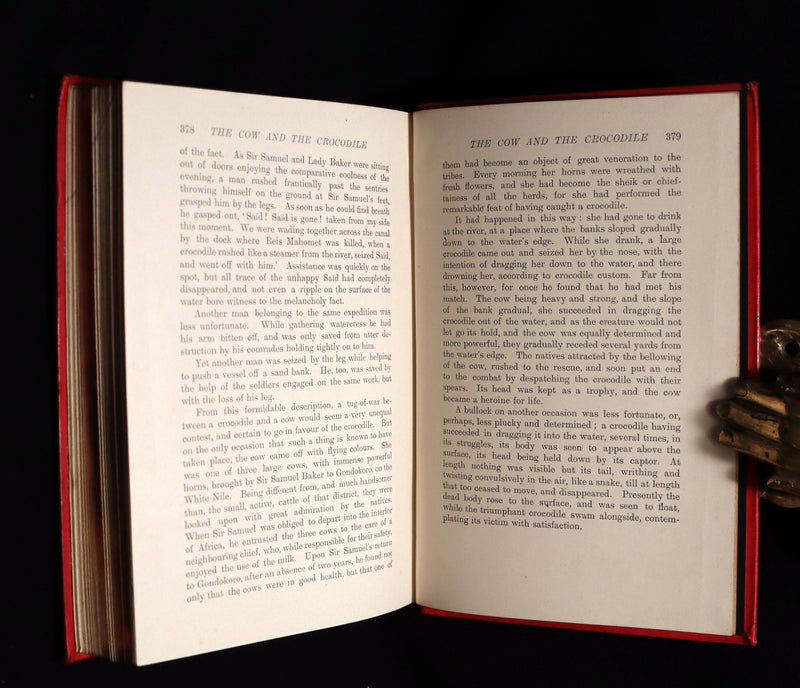 1899 Rare 1stED - The RED BOOK of ANIMAL STORIES by Andrew Lang Illustrated by H.J. Ford.