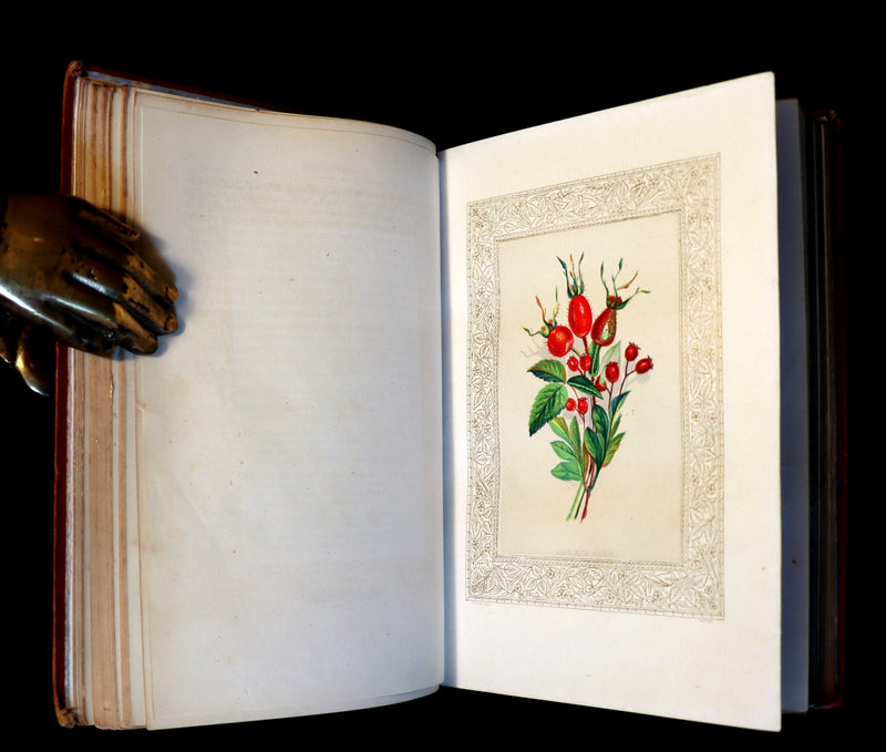 1870 Scarce Floriography Book ~ FLORA SYMBOLICA or The Language and Sentiment of Flowers by John Ingram.