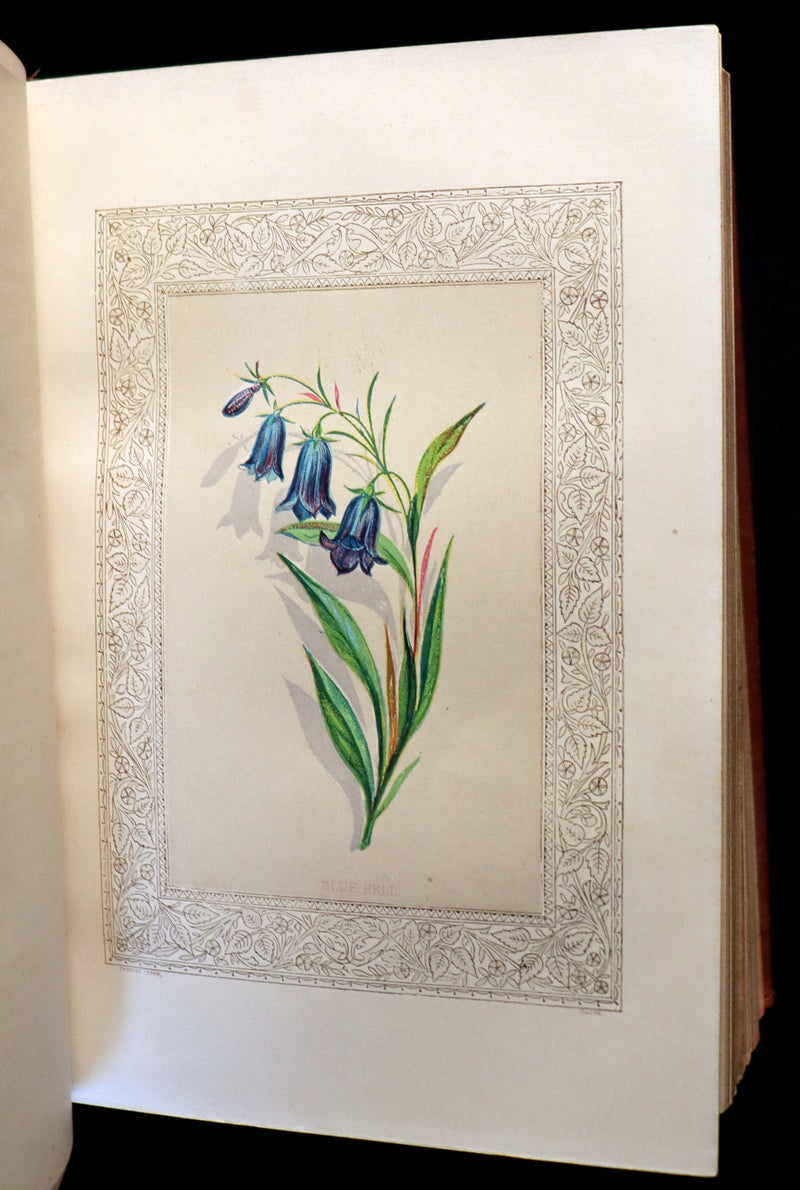 1870 Scarce Floriography Book ~ FLORA SYMBOLICA or The Language and Sentiment of Flowers by John Ingram.