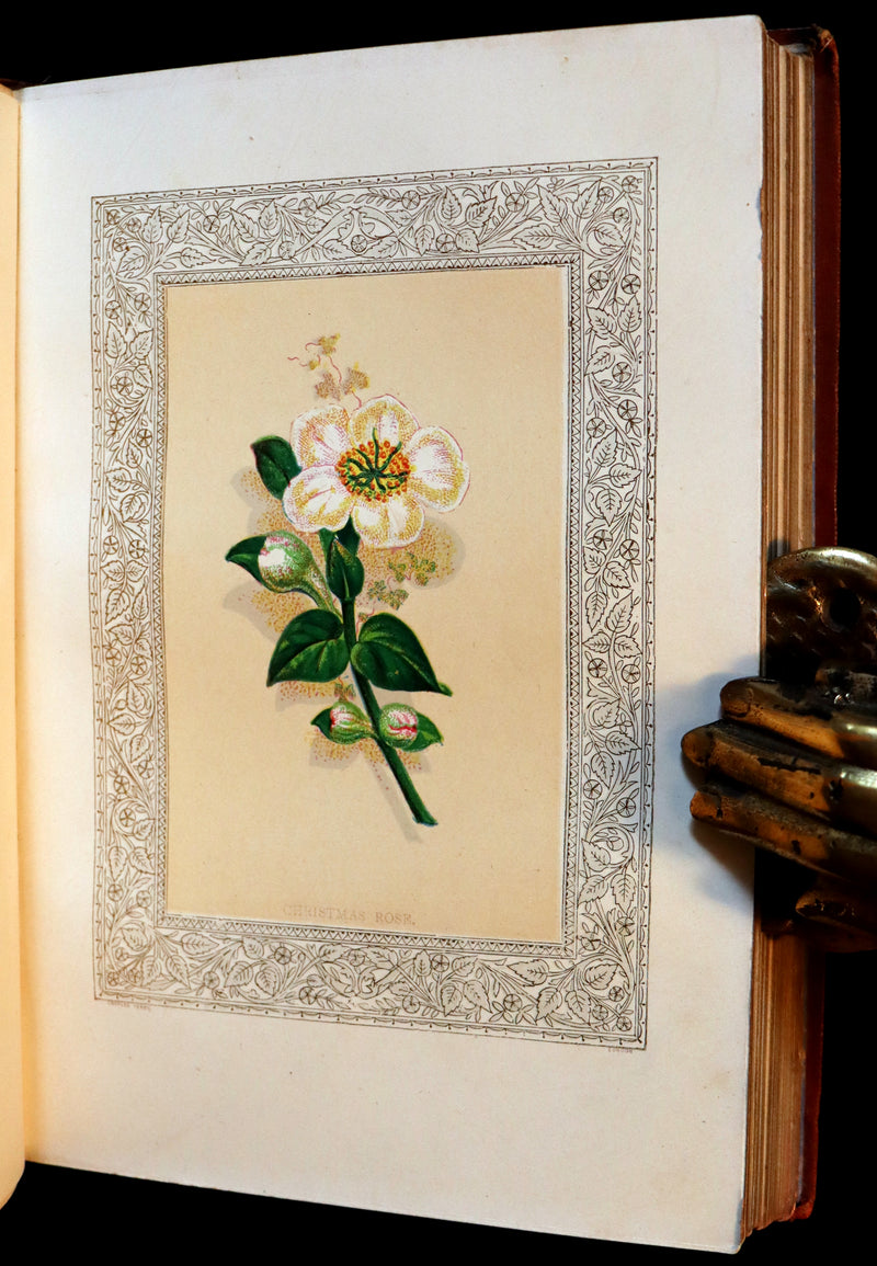 1870 Scarce Floriography Book ~ FLORA SYMBOLICA or The Language and Sentiment of Flowers by John Ingram.
