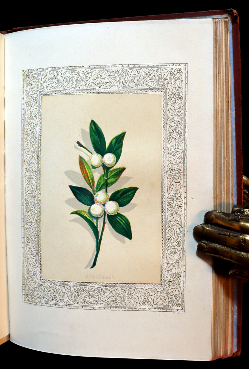 1870 Scarce Floriography Book ~ FLORA SYMBOLICA or The Language and Sentiment of Flowers by John Ingram.