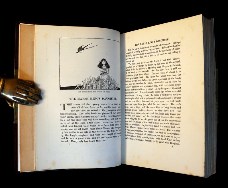 1913 Rare First Edition - Hans Andersen's Fairy Tales illustrated by W. Heath Robinson.