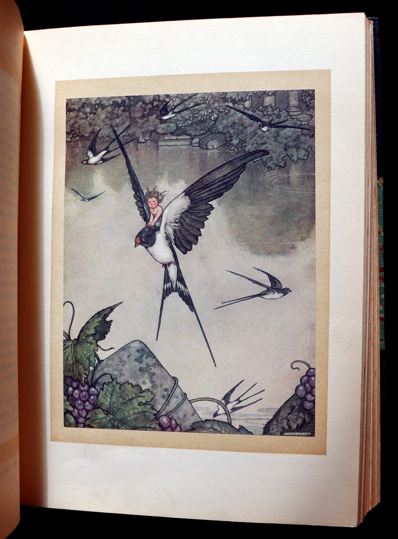 1913 Rare First Edition - Hans Andersen's Fairy Tales illustrated by W. Heath Robinson.