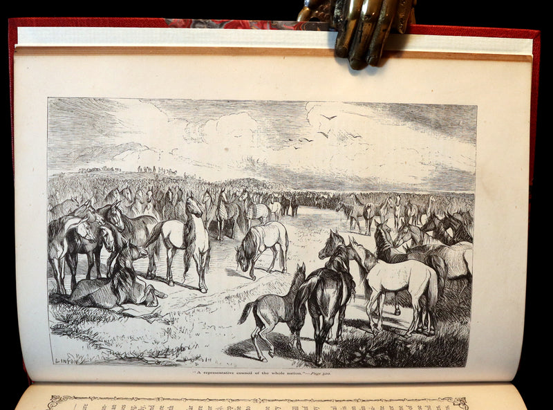 1870 Rare Victorian Book - GULLIVER's Travels Into Several Remote Nations of the World illustrated by Thomas Morten.