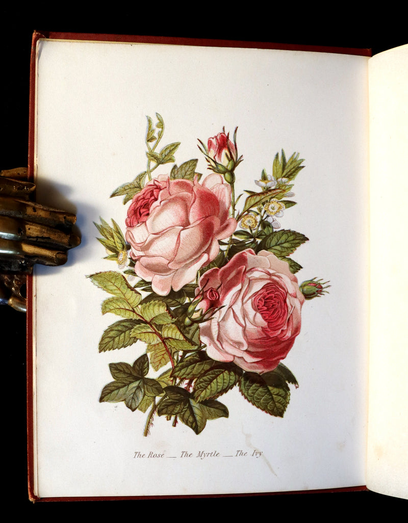 1870 Rare Victorian Floriography Book ~ The Language of Flowers or Floral Emblems by R. Tyas.