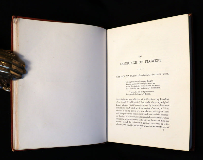 1870 Rare Victorian Floriography Book ~ The Language of Flowers or Floral Emblems by R. Tyas.