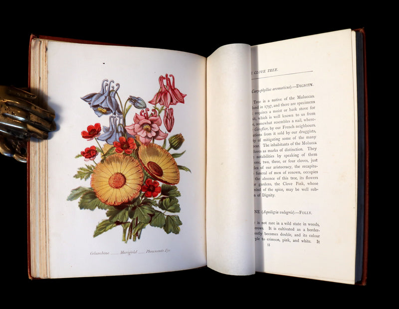 1870 Rare Victorian Floriography Book ~ The Language of Flowers or Floral Emblems by R. Tyas.