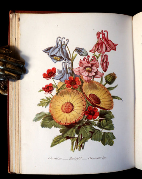 1870 Rare Victorian Floriography Book ~ The Language of Flowers or Floral Emblems by R. Tyas.