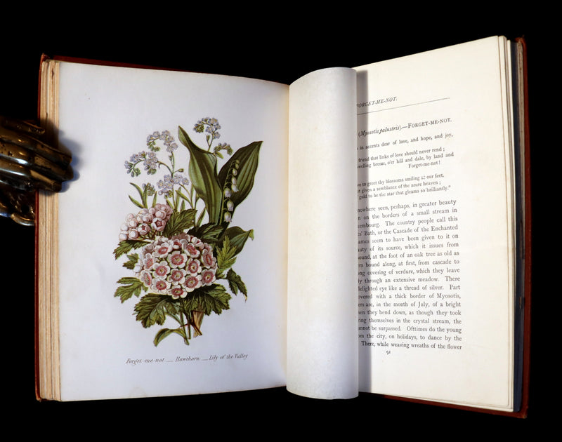 1870 Rare Victorian Floriography Book ~ The Language of Flowers or Floral Emblems by R. Tyas.