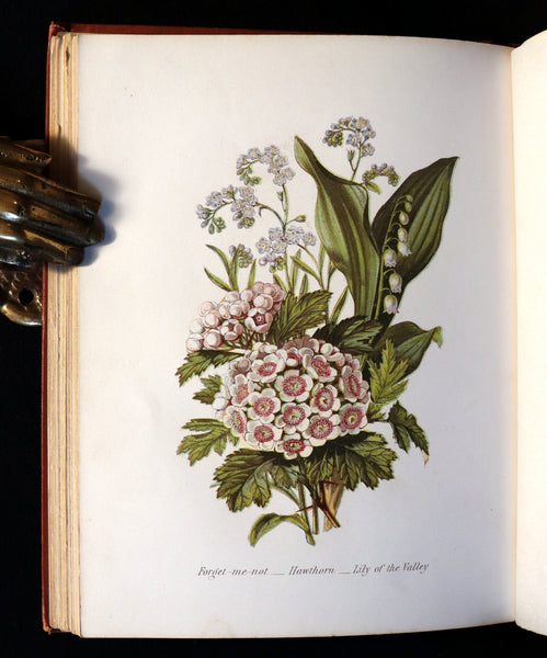 1870 Rare Victorian Floriography Book ~ The Language of Flowers or Floral Emblems by R. Tyas.