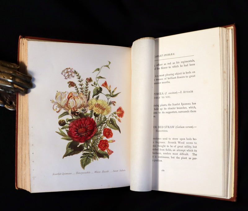 1870 Rare Victorian Floriography Book ~ The Language of Flowers or Floral Emblems by R. Tyas.