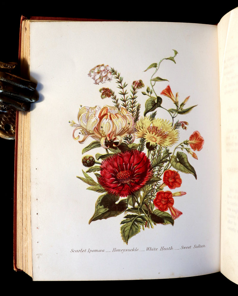 1870 Rare Victorian Floriography Book ~ The Language of Flowers or Floral Emblems by R. Tyas.