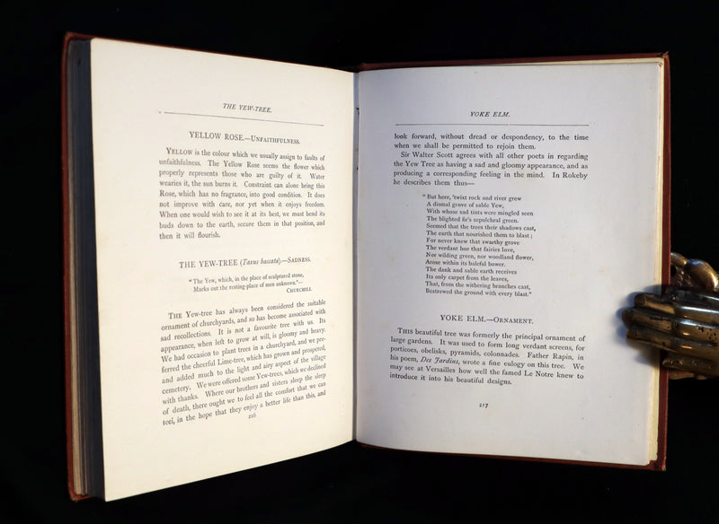 1870 Rare Victorian Floriography Book ~ The Language of Flowers or Floral Emblems by R. Tyas.
