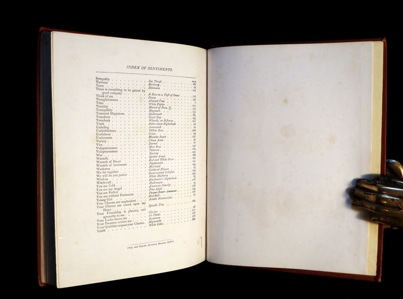 1870 Rare Victorian Floriography Book ~ The Language of Flowers or Floral Emblems by R. Tyas.