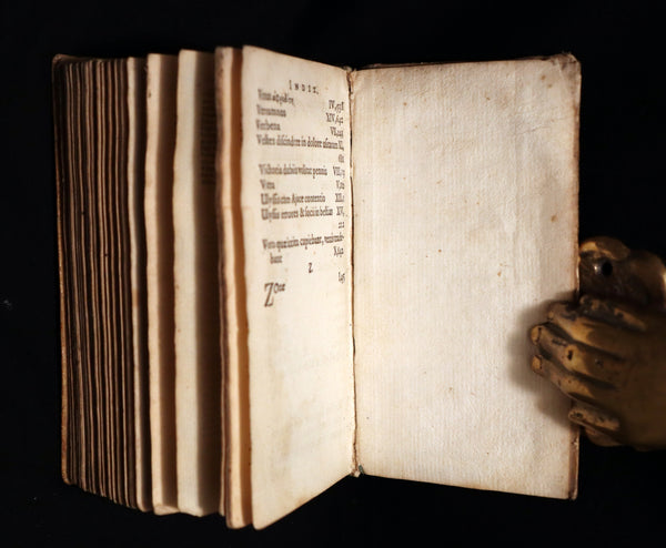 1649 Scarce Latin vellum Book - OVID's Metamorphoses - Publii Ovidii Nasonis Metamorphoseon libri XV.