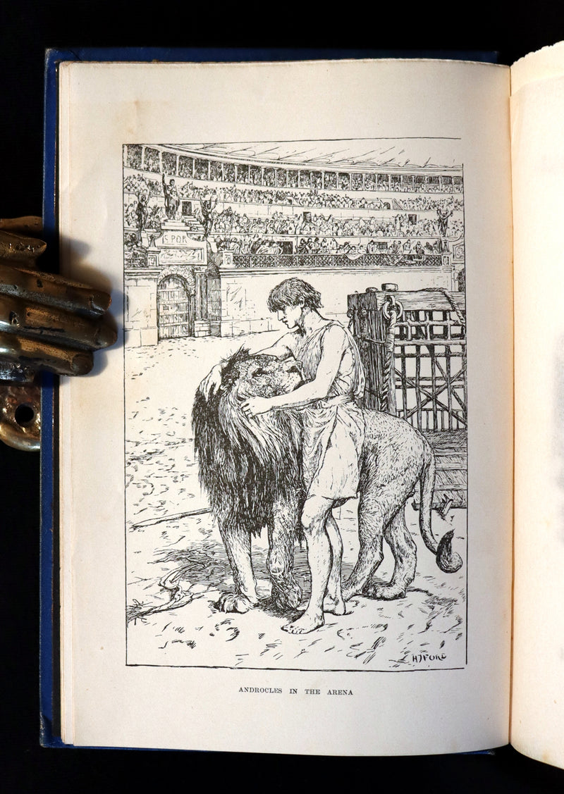 1903 Rare Book - The Animal Story Book by Andrew Lang Illustrated by H. J. FORD.