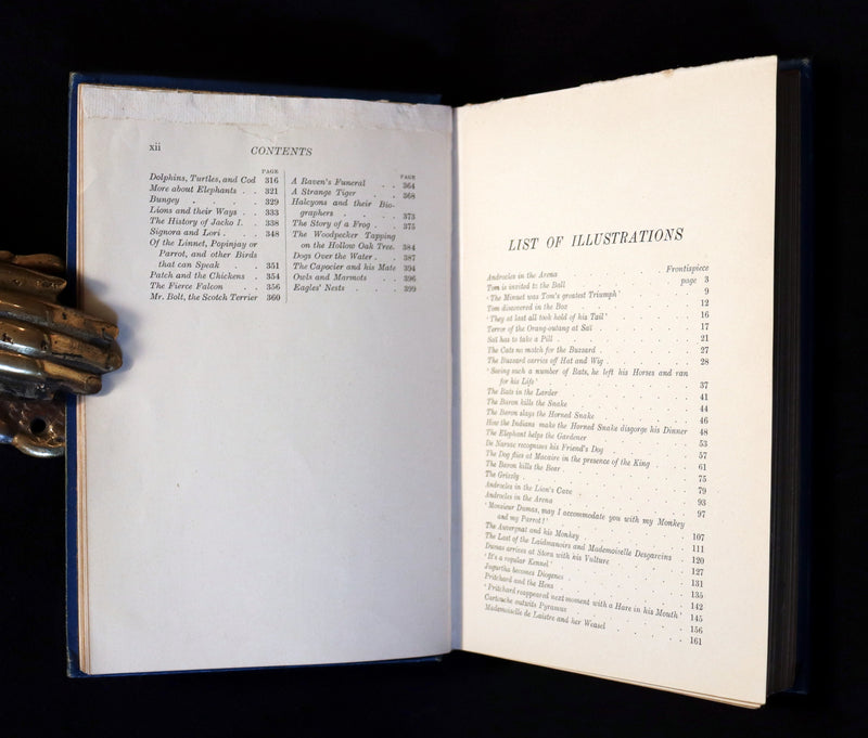 1903 Rare Book - The Animal Story Book by Andrew Lang Illustrated by H. J. FORD.