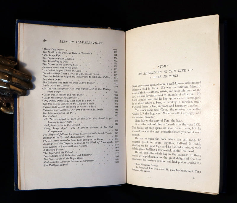 1903 Rare Book - The Animal Story Book by Andrew Lang Illustrated by H. J. FORD.