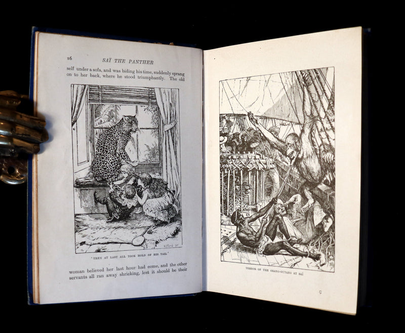1903 Rare Book - The Animal Story Book by Andrew Lang Illustrated by H. J. FORD.