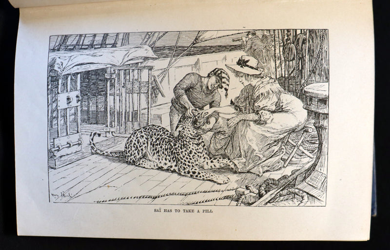 1903 Rare Book - The Animal Story Book by Andrew Lang Illustrated by H. J. FORD.